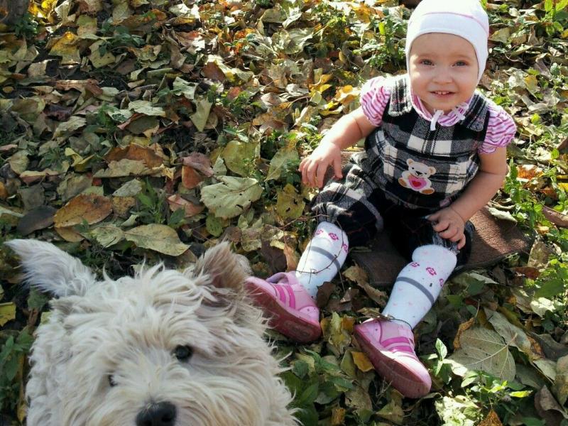  «МОИ ДОМАШНИЕ ЖИВОТНЫЕ»