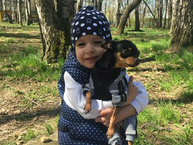  «МОИ ДОМАШНИЕ ЖИВОТНЫЕ»
