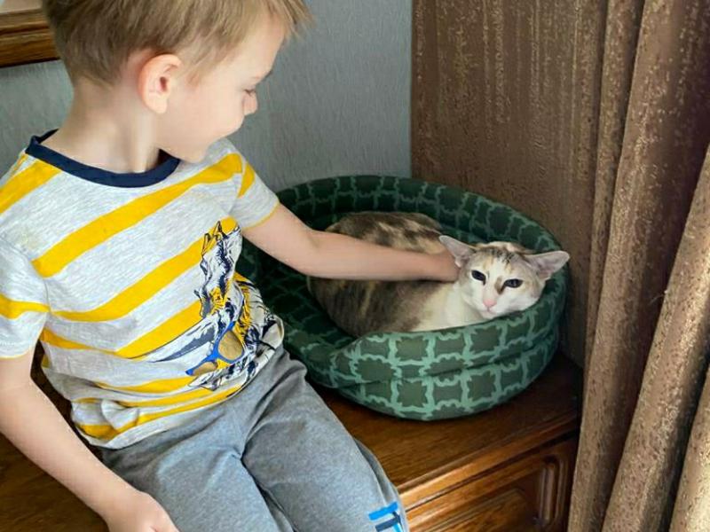  «МОИ ДОМАШНИЕ ЖИВОТНЫЕ»
