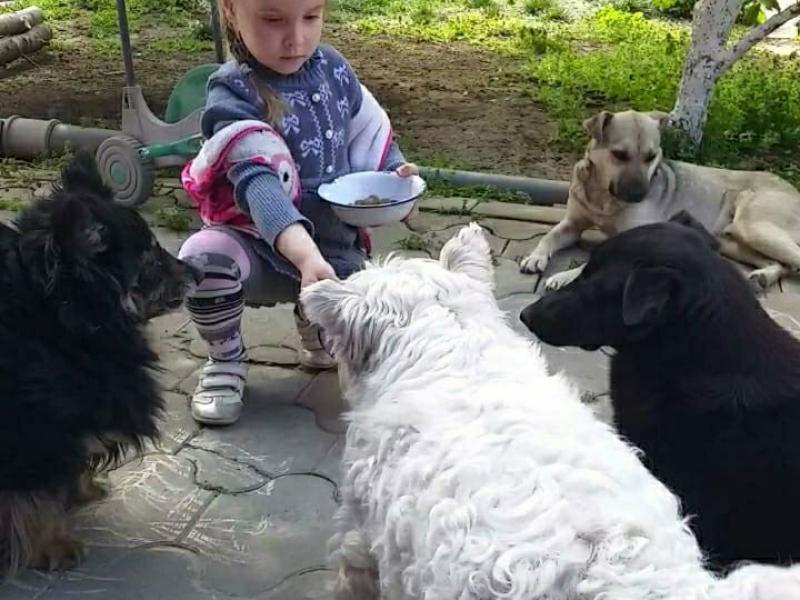  «МОИ ДОМАШНИЕ ЖИВОТНЫЕ»
