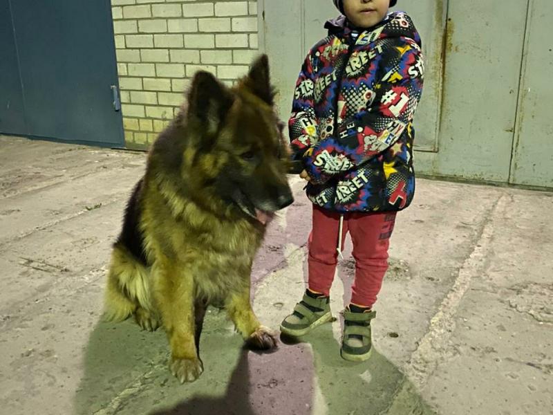  «МОИ ДОМАШНИЕ ЖИВОТНЫЕ»