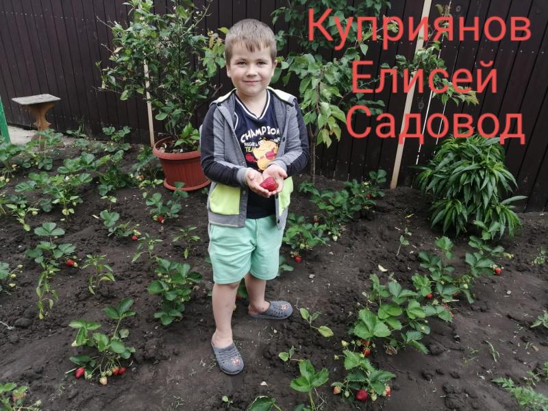 "Мир увлечений"