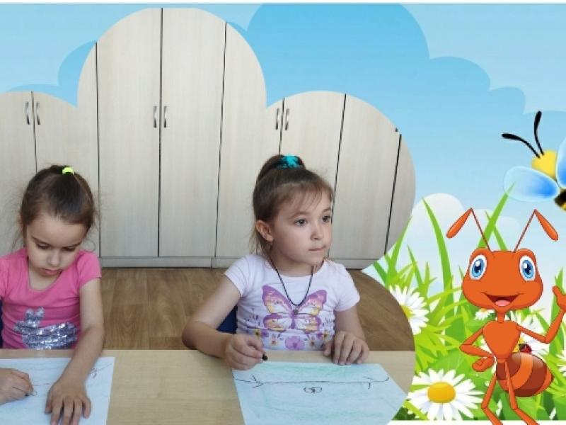  «Приключения муравья»
