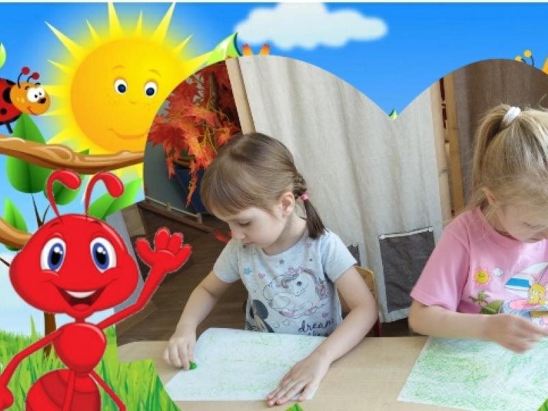  «Приключения муравья»