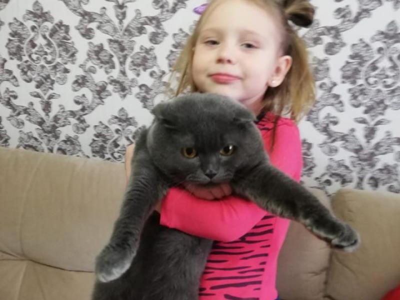 Агата и кот Василий