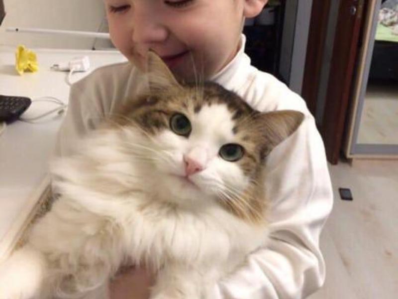 Владик и кот Барсик